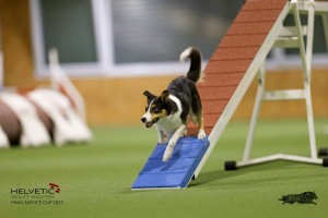 EH8A8833_DxO