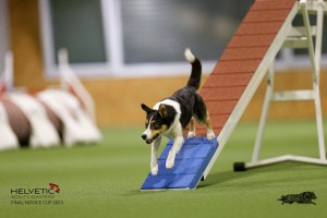 EH8A8834_DxO