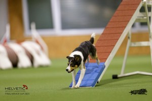 EH8A8835_DxO