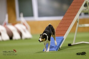 EH8A8836_DxO