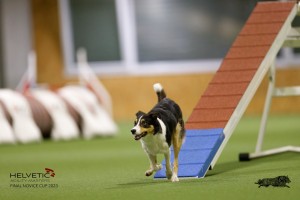 EH8A8837_DxO
