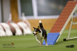 EH8A8838_DxO