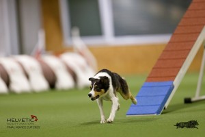 EH8A8840_DxO