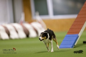 EH8A8841_DxO