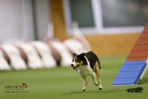 EH8A8842_DxO