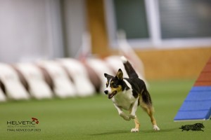 EH8A8843_DxO