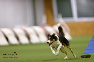 EH8A8844_DxO