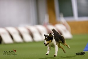EH8A8845_DxO