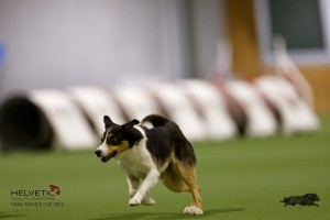 EH8A8849_DxO