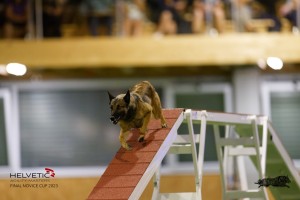 EH8A8872_DxO