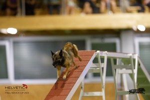 EH8A8873_DxO