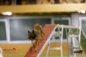 EH8A8874_DxO