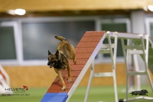 EH8A8875_DxO