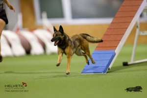 EH8A8879_DxO