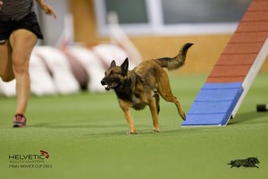EH8A8880_DxO
