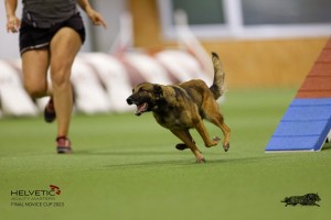 EH8A8881_DxO