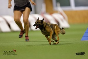 EH8A8882_DxO