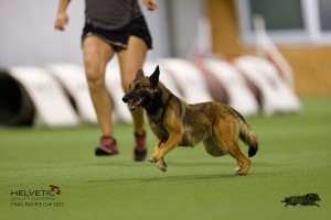 EH8A8883_DxO