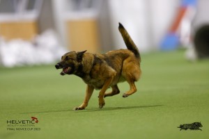 EH8A8891_DxO