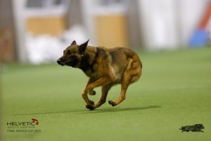 EH8A8892_DxO
