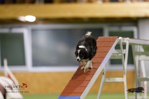 EH8A8920_DxO