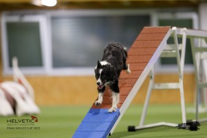 EH8A8922_DxO