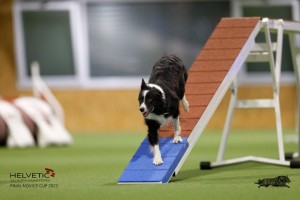 EH8A8923_DxO