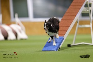 EH8A8924_DxO