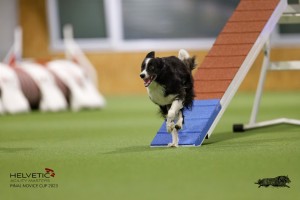 EH8A8925_DxO