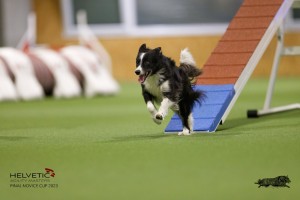 EH8A8926_DxO