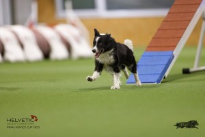 EH8A8927_DxO
