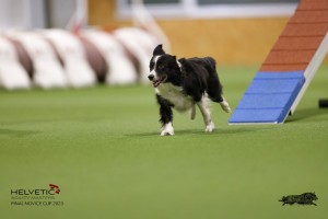 EH8A8928_DxO