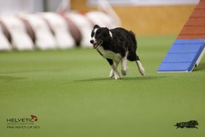EH8A8929_DxO