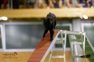 EH8A8942_DxO