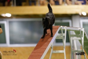 EH8A8943_DxO