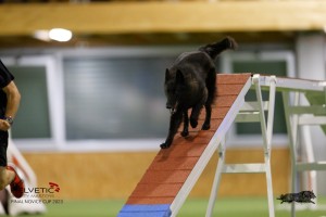 EH8A8945_DxO
