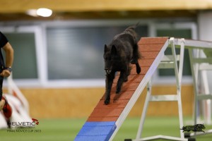 EH8A8946_DxO