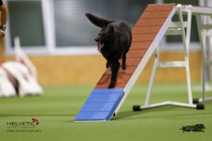 EH8A8948_DxO