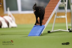 EH8A8949_DxO