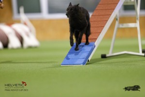 EH8A8950_DxO