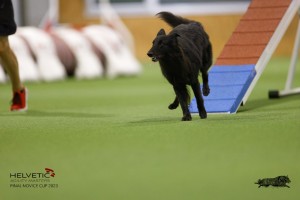 EH8A8954_DxO