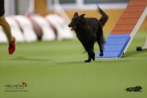 EH8A8955_DxO