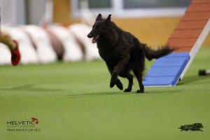 EH8A8956_DxO