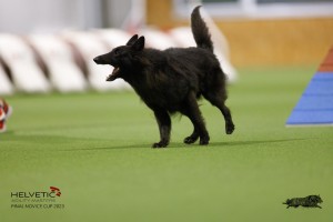 EH8A8960_DxO
