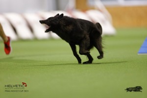 EH8A8961_DxO