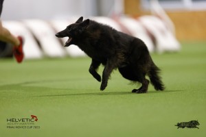 EH8A8962_DxO