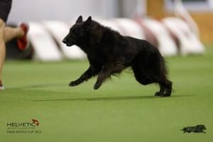 EH8A8963_DxO