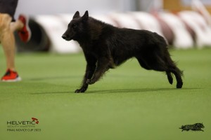 EH8A8964_DxO