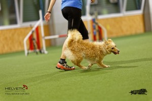 1T0A0535-2_DxO