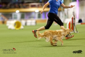 1T0A0564-2_DxO